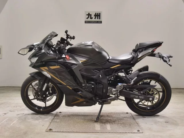 Kawasaki ZX-25R