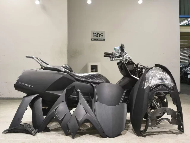Yamaha MAXAM250