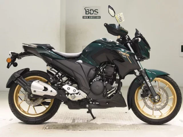 Yamaha FZS25 лот № 5391 оценка 4  с аукциона в Японии