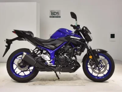 Yamaha MT-25  с аукциона в Японии