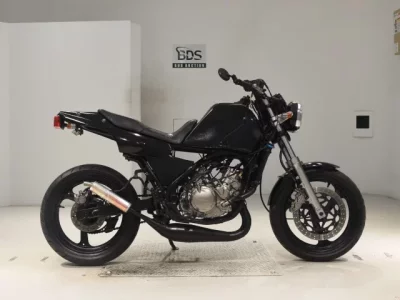 Yamaha TDR250