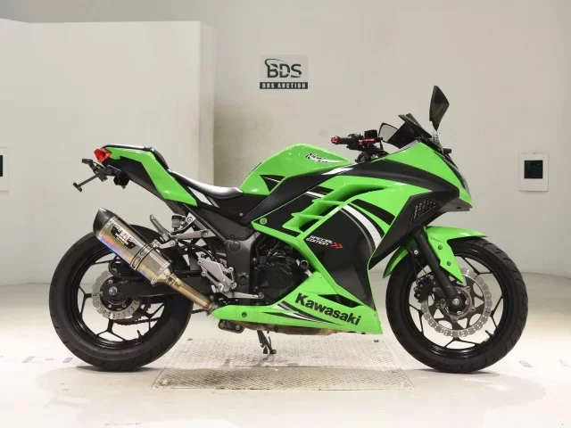 Kawasaki NINJA250ABS лот № 5029 оценка 5  с аукциона в Японии