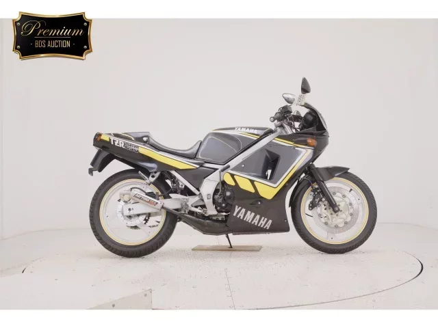 Yamaha TZR250-1 лот № 0007 оценка 4  с аукциона в Японии