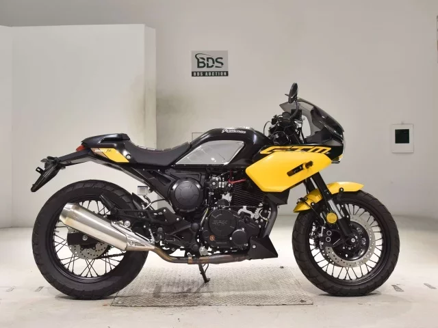 Other GPX GTM250R лот № 7763 оценка 5  с аукциона в Японии