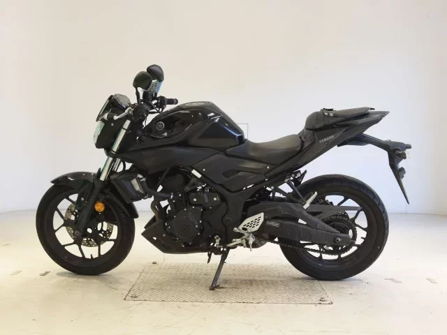Yamaha MT-25