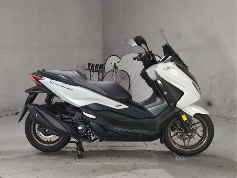 Honda FORZA лот № 8338 оценка 6  с аукциона в Японии