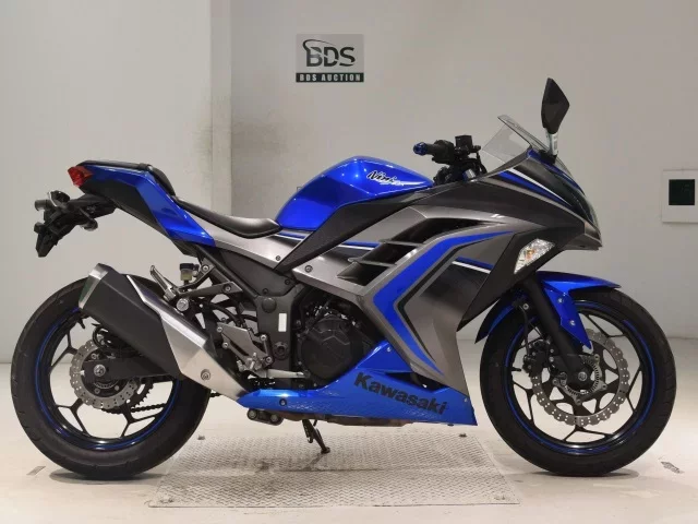 Kawasaki NINJA250ABS лот № 0402 оценка 5  с аукциона в Японии