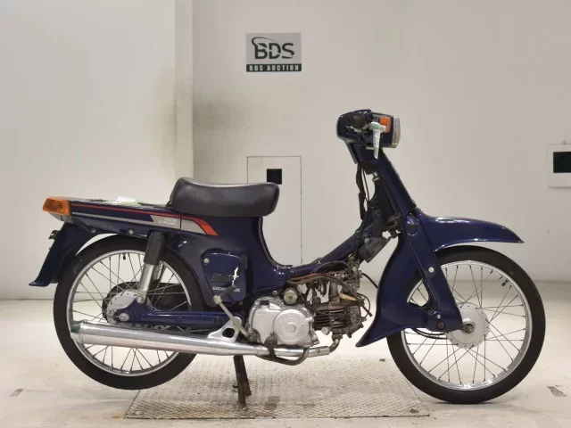 Suzuki BIRDIE50