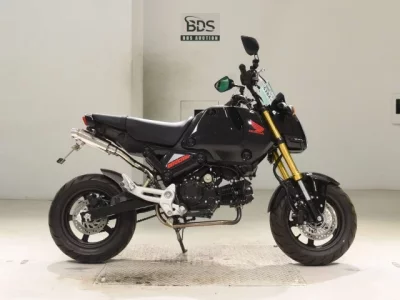 Honda GU ROM -2