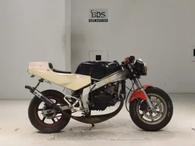 Honda NSR50