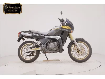Yamaha TDR250  с аукциона в Японии