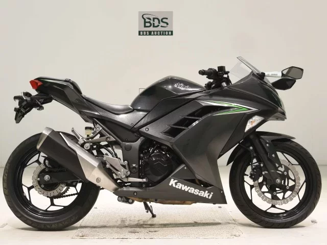 Kawasaki NINJA250 лот № 5082 оценка 5  с аукциона в Японии