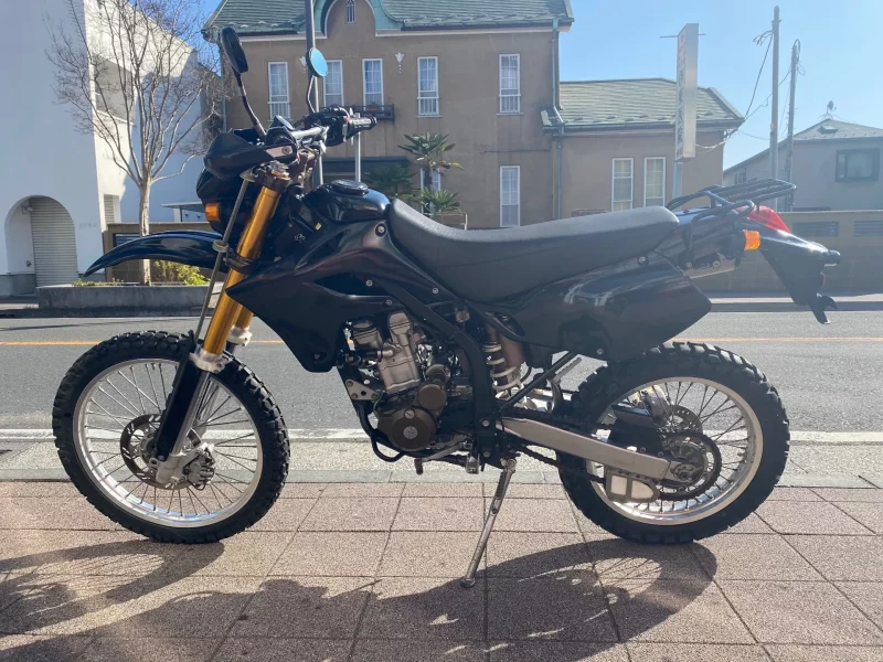 Kawasaki KLX250