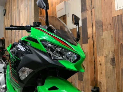 Kawasaki Ninja 250 KRT ED