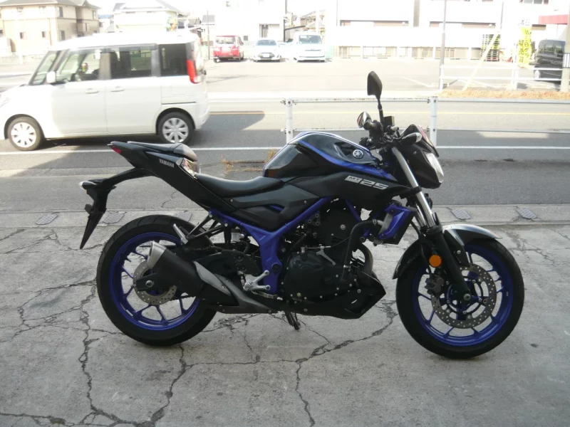 Yamaha MT-25