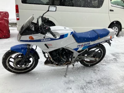 Yamaha FZ250 FEATHER