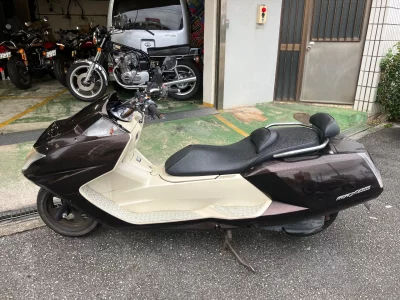 Yamaha MAXAM250