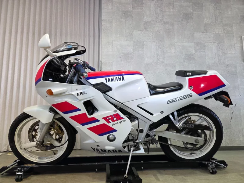 Yamaha FZR250