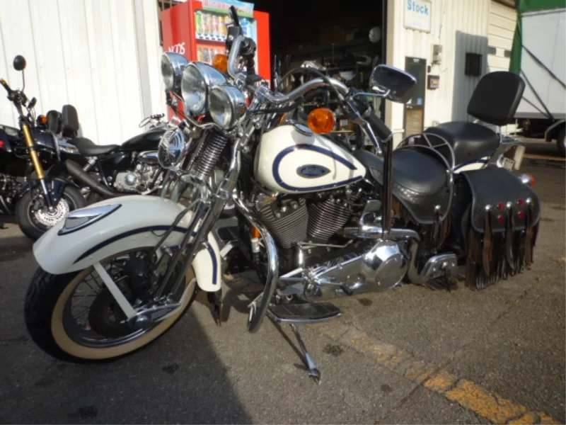 Harley-Davidson HARLEY FLSTS1450