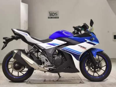 Suzuki GSX250R  с аукциона в Японии
