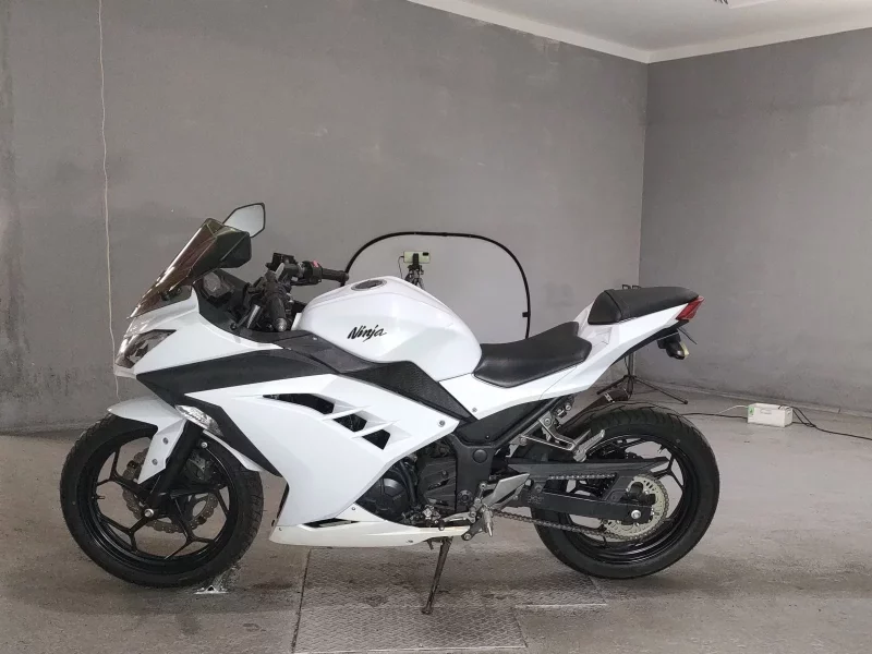 Kawasaki NINJA250