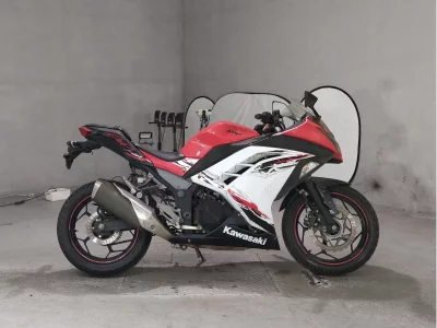 Kawasaki NINJA250