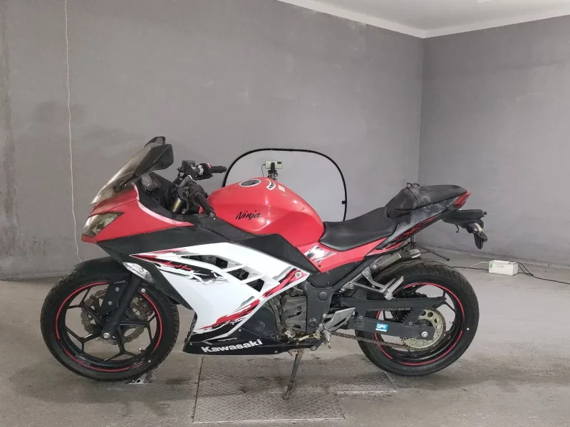 Kawasaki NINJA250