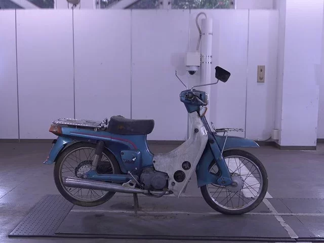 Suzuki BIRDIE50