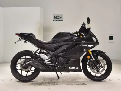 Yamaha YZF-R3 2019