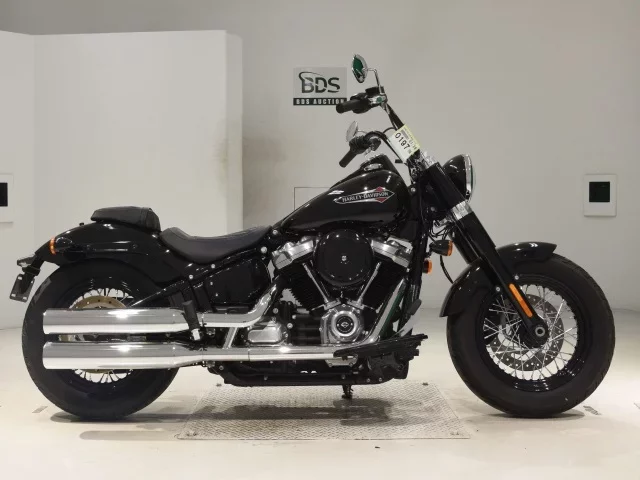 Harley-Davidson HARLEY FLSL1750 лот № 0197 оценка 6  с аукциона в Японии