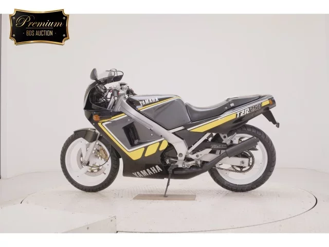Yamaha TZR250-1