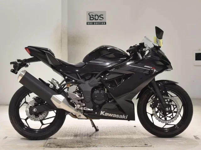 Kawasaki NINJA250SL лот № 5298 оценка 5  с аукциона в Японии