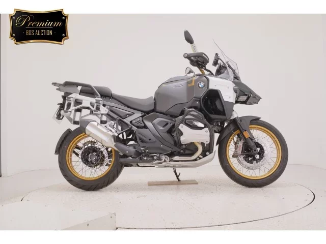 Other BMWR1300GS ADVENTURE лот № 2545 оценка 9  с аукциона в Японии