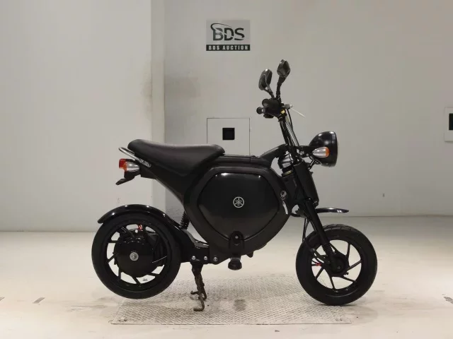 Yamaha EC-02