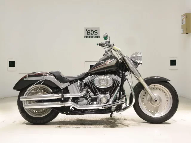 Harley-Davidson HARLEY FLSTF1580