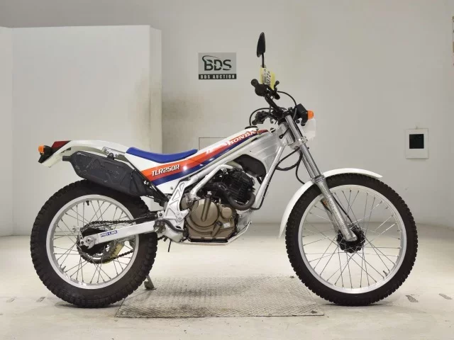 Honda TLR250R лот № 0372 оценка 4  с аукциона в Японии
