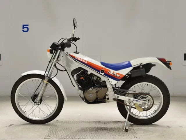 Honda TLR250R