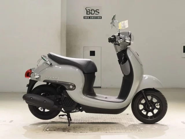 Honda GIORNO -3