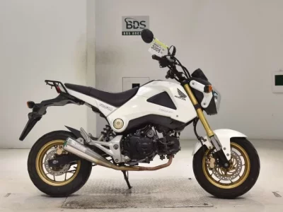 Honda GU ROM