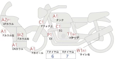 Kawasaki Ninja 250