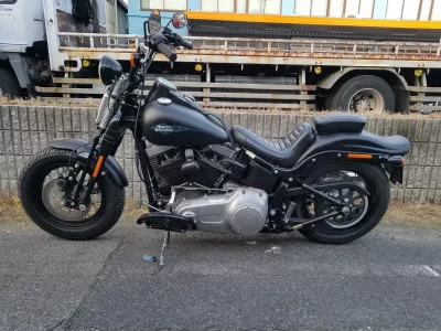 Harley-Davidson HARLEY FLSTFB