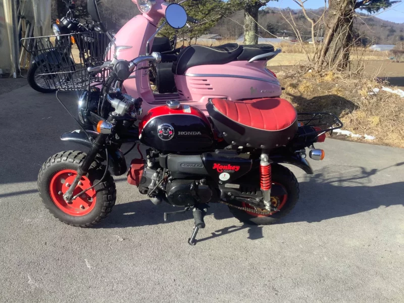 Honda MONKEY KUMAMONVER