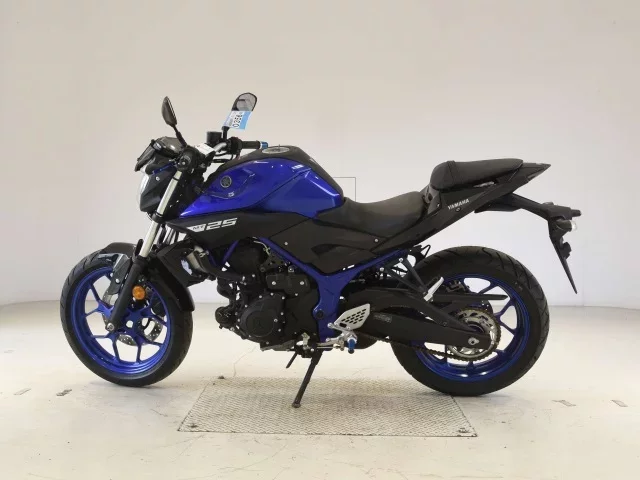 Yamaha MT-25