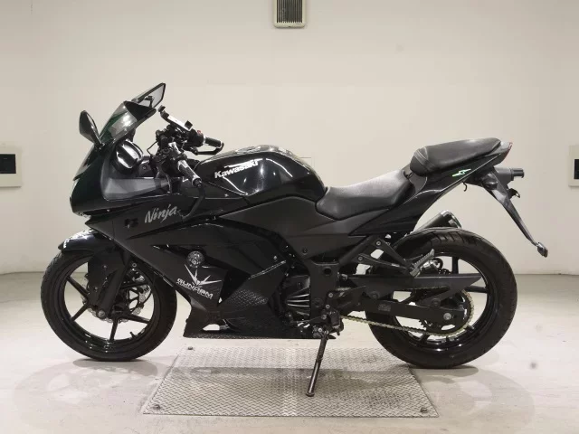 Kawasaki NINJA250R