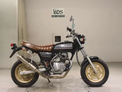 Honda APE100
