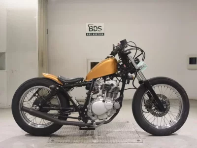 Suzuki GLASS TRACKER BIG BOY