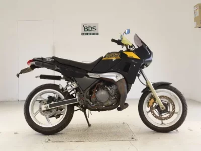 Yamaha TDR250