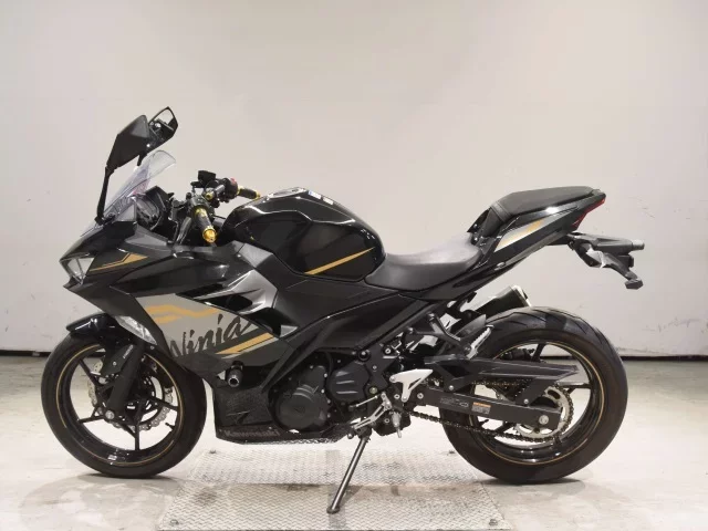 Kawasaki NINJA250-2