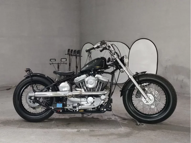 Other PRO TO ROAD HOPPER TYPE 1 лот № 7076 оценка 4  с аукциона в Японии