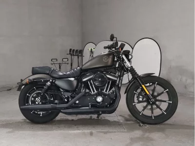 Harley-Davidson HARLEY XL883N 2021